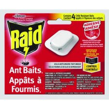 Raid® Ant Baits, 4/pkg