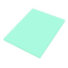 Davis Group Legal Supplies Trial Back, Plain, 8-1/2" x 11, Blue, 50/pkg