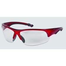 Zenith® Z1900 Series Safety Glasses, Red/Clear