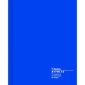 Blueline A1740 Columnar Book, 12-1/4" x 9-7/8", 12-column