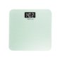 Bios Living Metallic Digital Scale, Silver