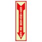 Headline® Glow in the Dark Fire Extinguisher Sign French