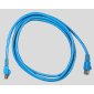 Exponent Ethernet Patch Cable, 50', Blue