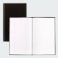 Blueline A790 Account Book, 12-1/2" x 7-5/8", Record