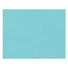 Pacon® 4-Ply Railroad Board, Light Blue