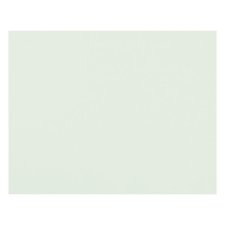 Pacon® 4-Ply Railroad Board, White
