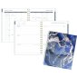 Mead® Galaxy Ink Weekly/Monthly Planner, 11" x 9", Bilingual, Blue