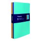 Blueline Notebooks, Ruled, 8-1/4" x 5-3/4", 64 pages, Assorted Colours, 5/pkg
