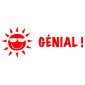 Trodat® Printy 4911 Teacher's Stamp GÉNIAL !