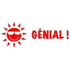 Trodat® Printy 4911 Teacher's Stamp GÉNIAL !