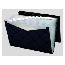 Pendaflex Pocket File