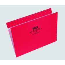 Basics&reg; Coloured Hanging Folders, Letter, Red, 25/bx