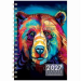Brandon Gabriel 2027 Weekly Planner