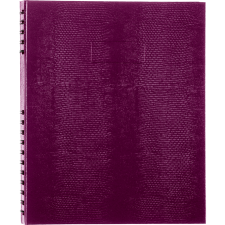 Blueline&reg; NotePro� Notebook Ruled 10-3/4" x 8-1/2" 300pgs Grape